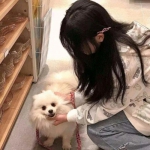 辰东群侠传放置手游下载